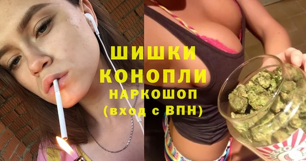 прущие грибы Лагань