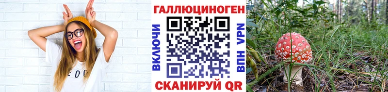 Псилоцибиновые грибы прущие грибы  Купить  Череповец 